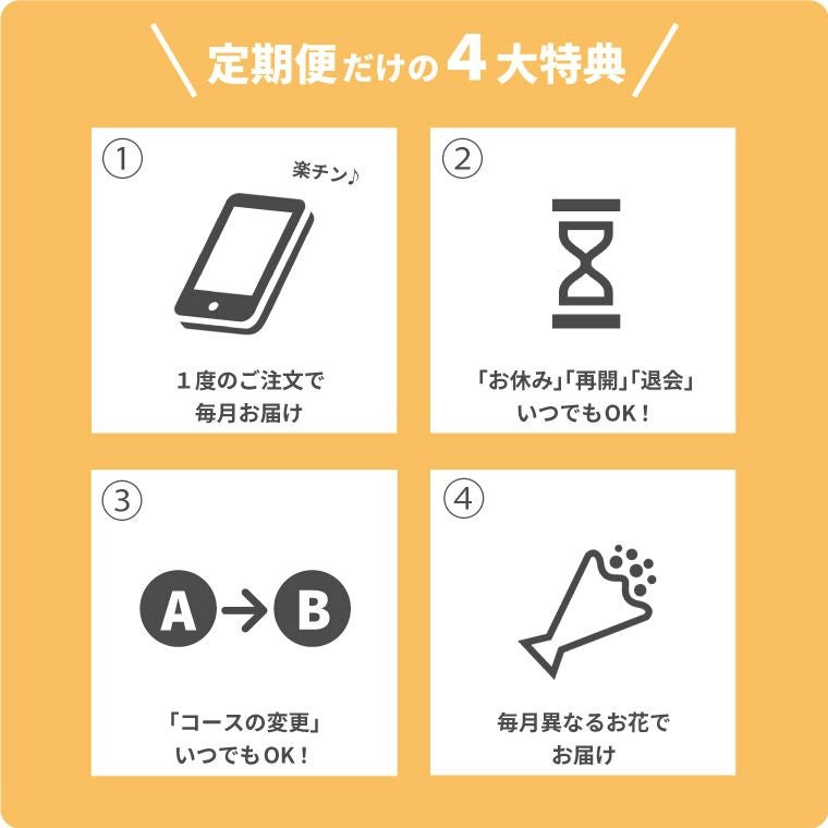 定期便 花々BOX 12回・Sサイズ Bコース 生花