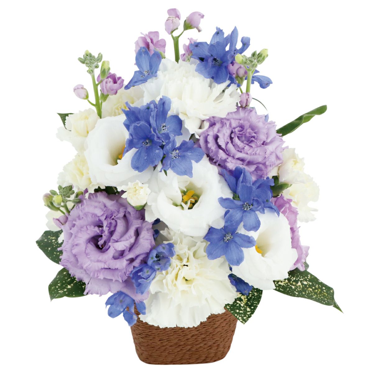 選べる アレンジ or 花束・AA  お供え 生花