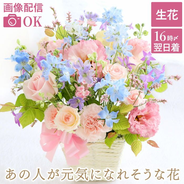 あの人が元気になれそうなフラワーアレンジメント・AB 』 生花 | 横浜