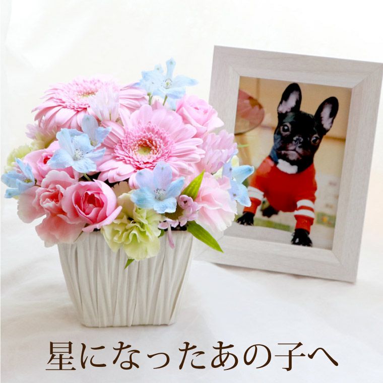 ペットちゃん 星になったあの子へ・AA』お供え 生花 | 横浜花まりか