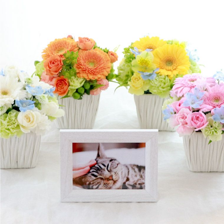 ペットちゃん 星になったあの子へ・AA』お供え 生花 | 横浜花まりか