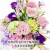 お花の定期便(月命日) 星コース3ヶ月 Mサイズ お供え 生花