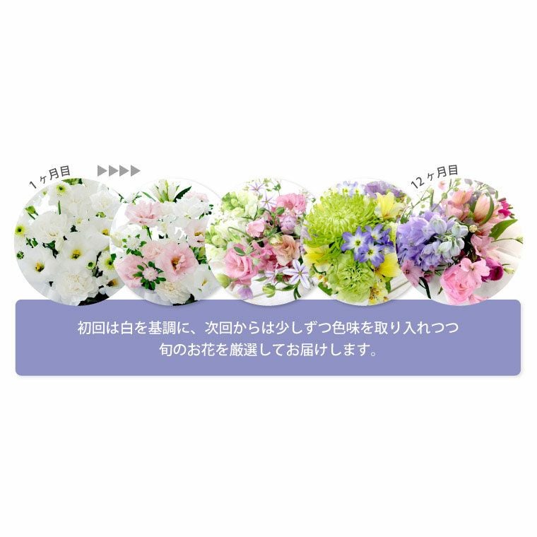 お花の定期便(月命日) 虹コース3ヶ月 Lサイズ お供え 生花