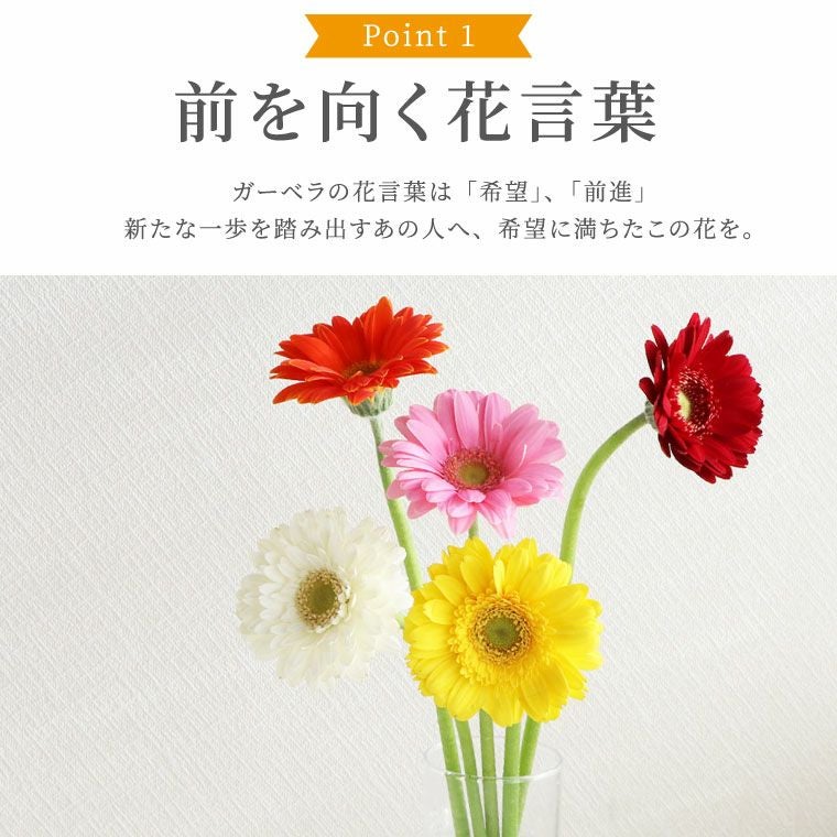 ガーベラの花束 10本・花言葉 