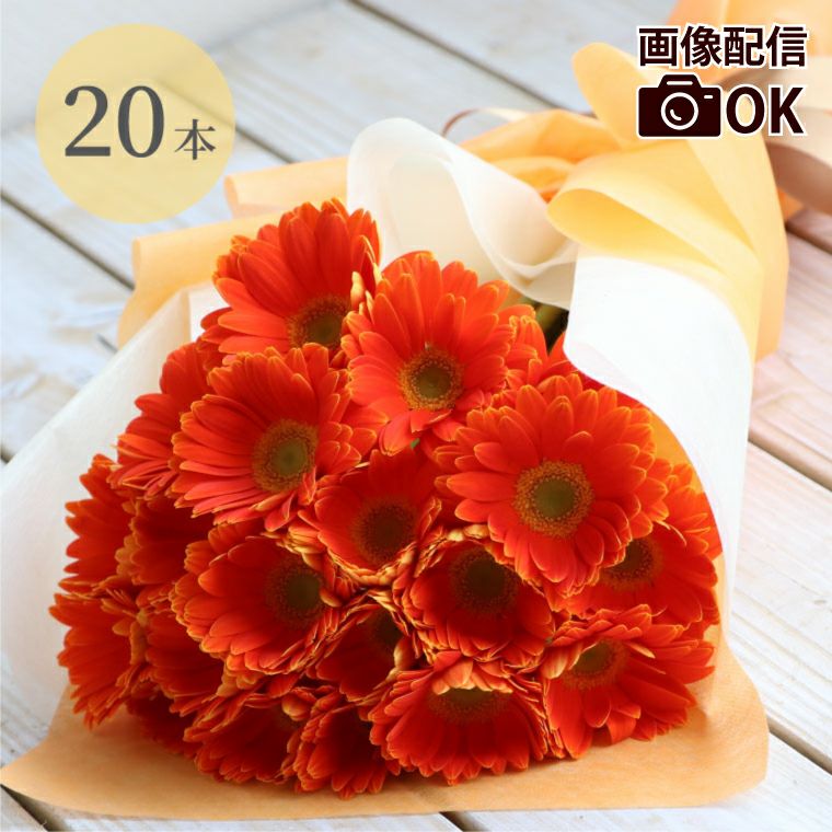 ガーベラの花束 20本・花言葉 