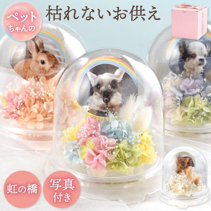 ペットちゃんのメモリーポット』 お供え プリザーブドフラワー | 横浜