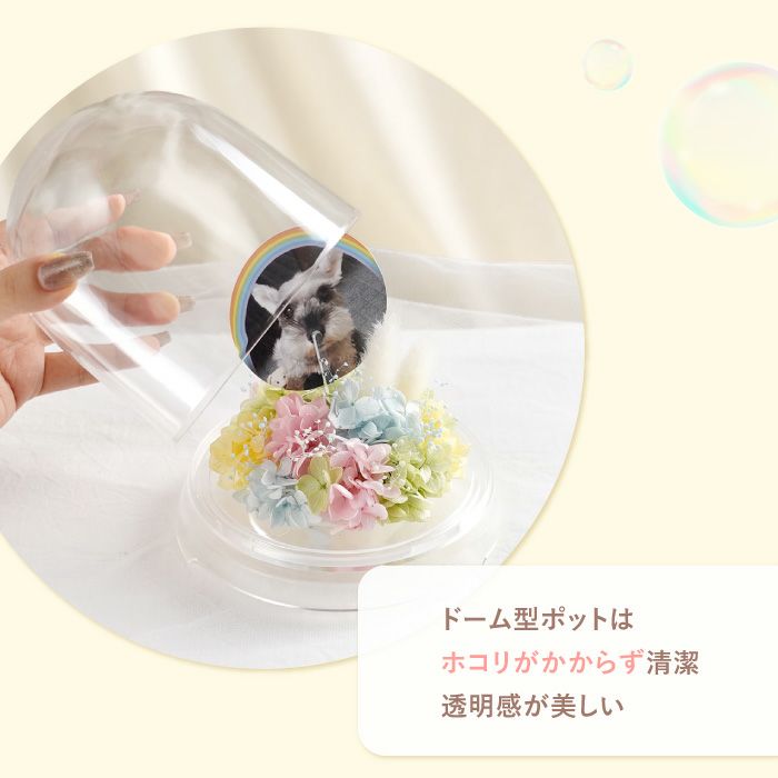 ペットちゃんのメモリーポット お供え プリザーブドフラワー