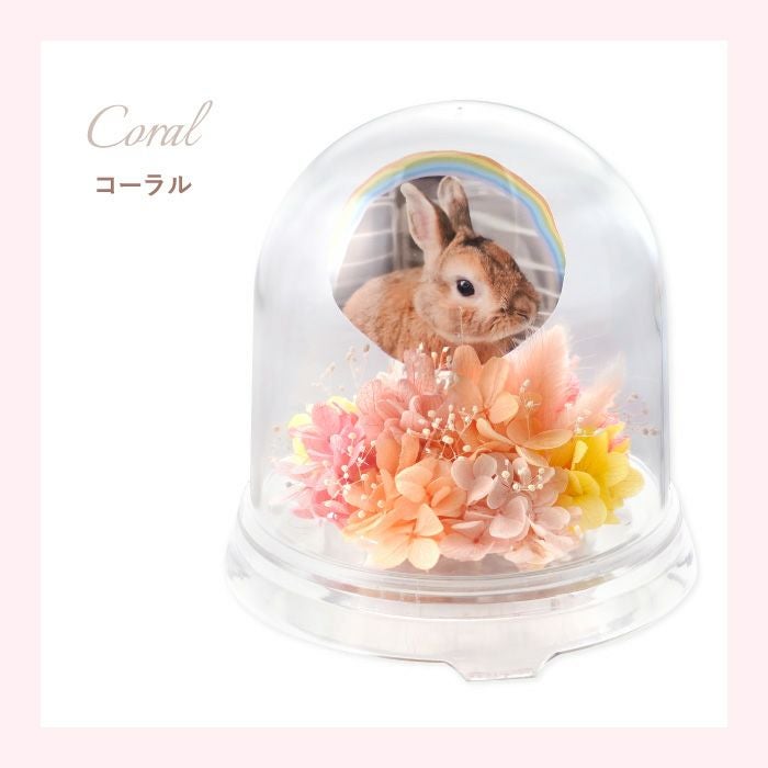 ペットちゃんのメモリーポット お供え プリザーブドフラワー