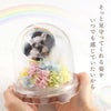ペットちゃんのメモリーポット お供え プリザーブドフラワー