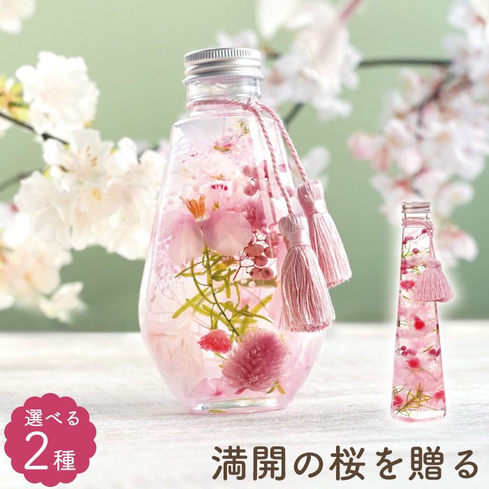 桜 ハーバリウム・Lサイズ