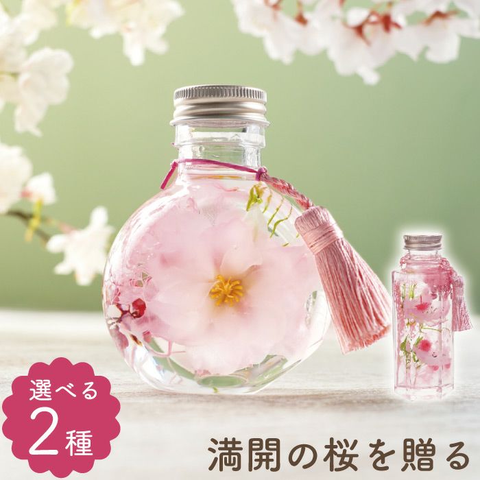 桜 ハーバリウム・Sサイズ』｜横浜花まりか フラワーギフト店