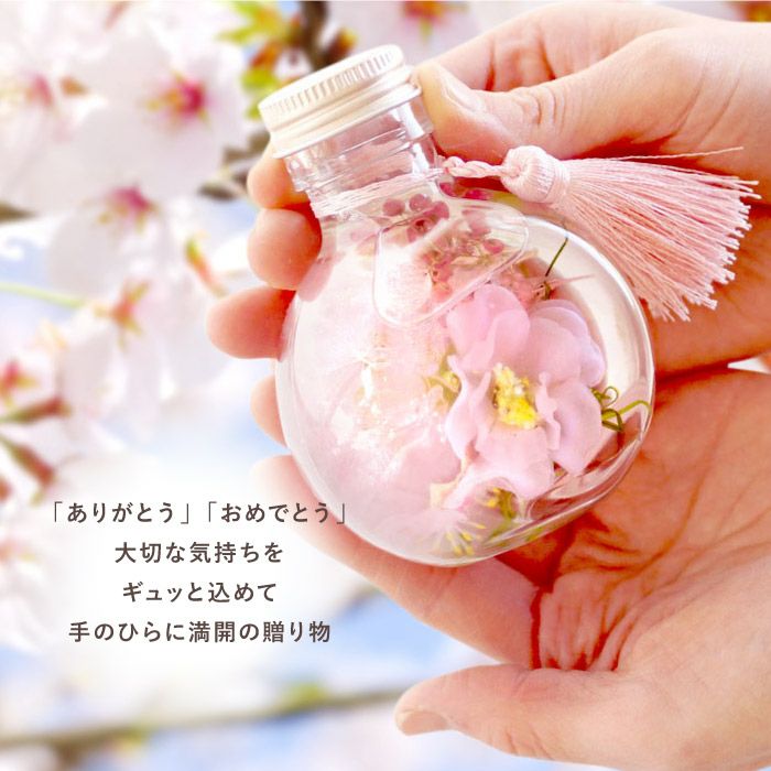 桜 ハーバリウム・Sサイズ』｜横浜花まりか フラワーギフト店