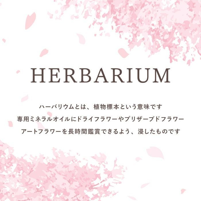 桜 ハーバリウム・Sサイズ