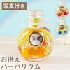 ペットちゃんのふわふわメモリーハーバリウム
