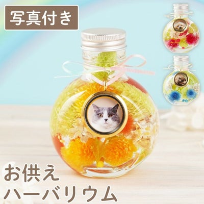 ペットちゃんのふわふわメモリーハーバリウム