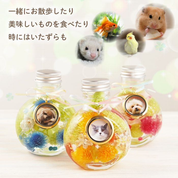 ペットちゃんのふわふわメモリーハーバリウム