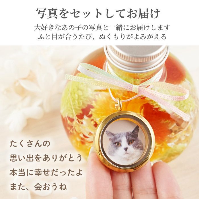 ペットちゃんのふわふわメモリーハーバリウム