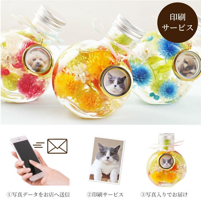 ペットちゃんのふわふわメモリーハーバリウム』 お供え | 横浜花まりか