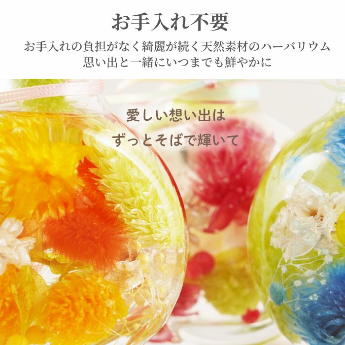 ペットちゃんのふわふわメモリーハーバリウム