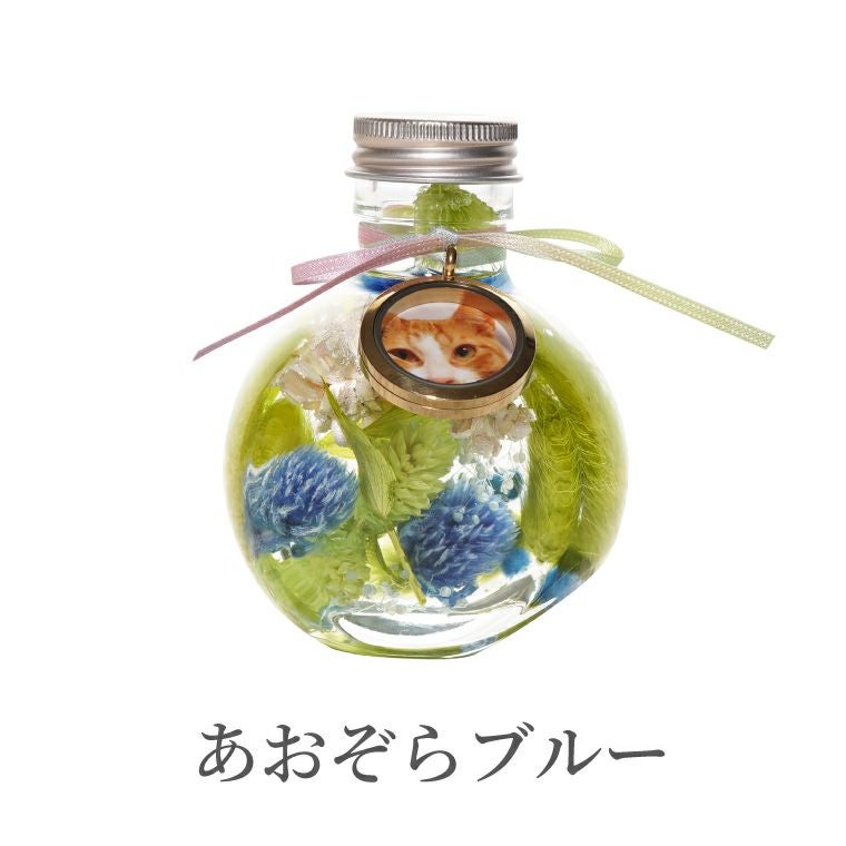 ペットちゃんのふわふわメモリーハーバリウム』 お供え | 横浜花まりか
