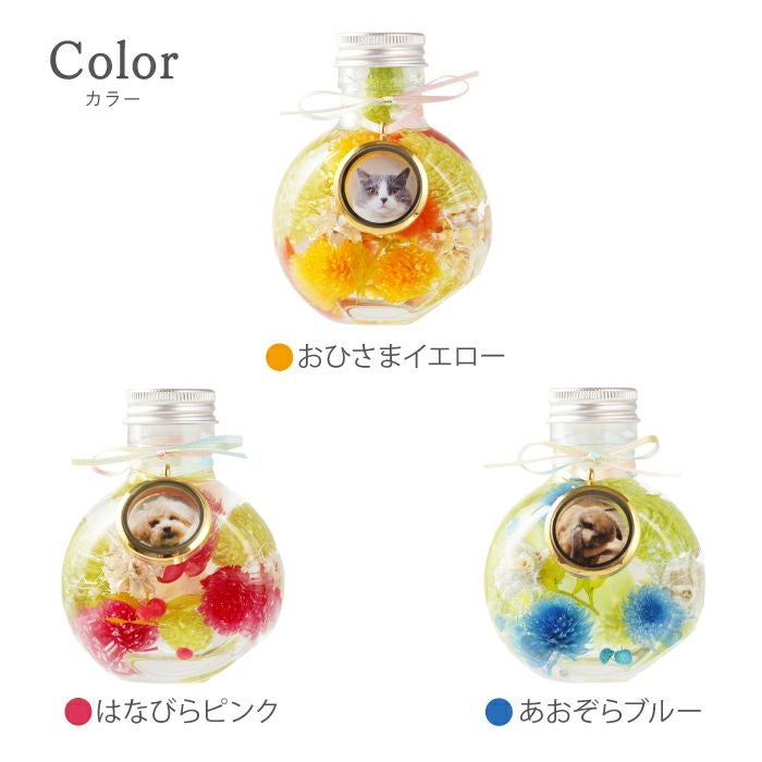 ペットちゃんのふわふわメモリーハーバリウム』 お供え | 横浜花まりか