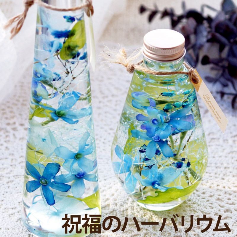 ブルースター ハーバリウム・Lサイズ』｜横浜花まりか フラワーギフト店