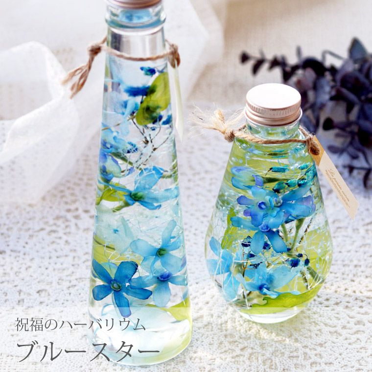 ブルースター ハーバリウム・Lサイズ』｜横浜花まりか フラワーギフト店