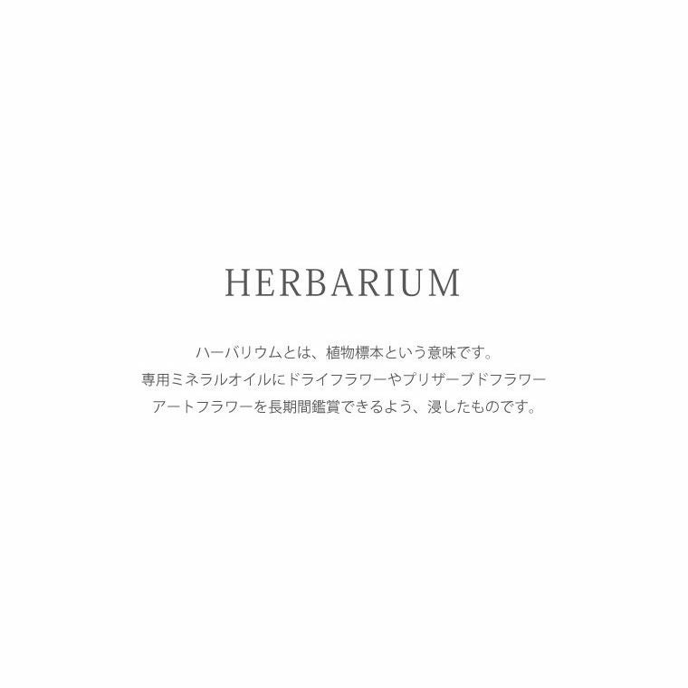 ブルースター ハーバリウム・Ｌサイズ
