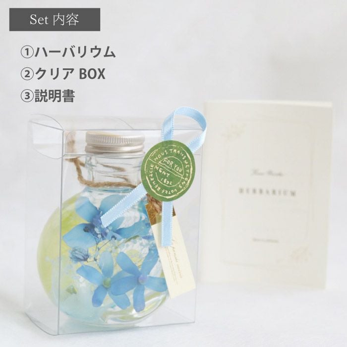 ブルースター ハーバリウム・Sサイズ