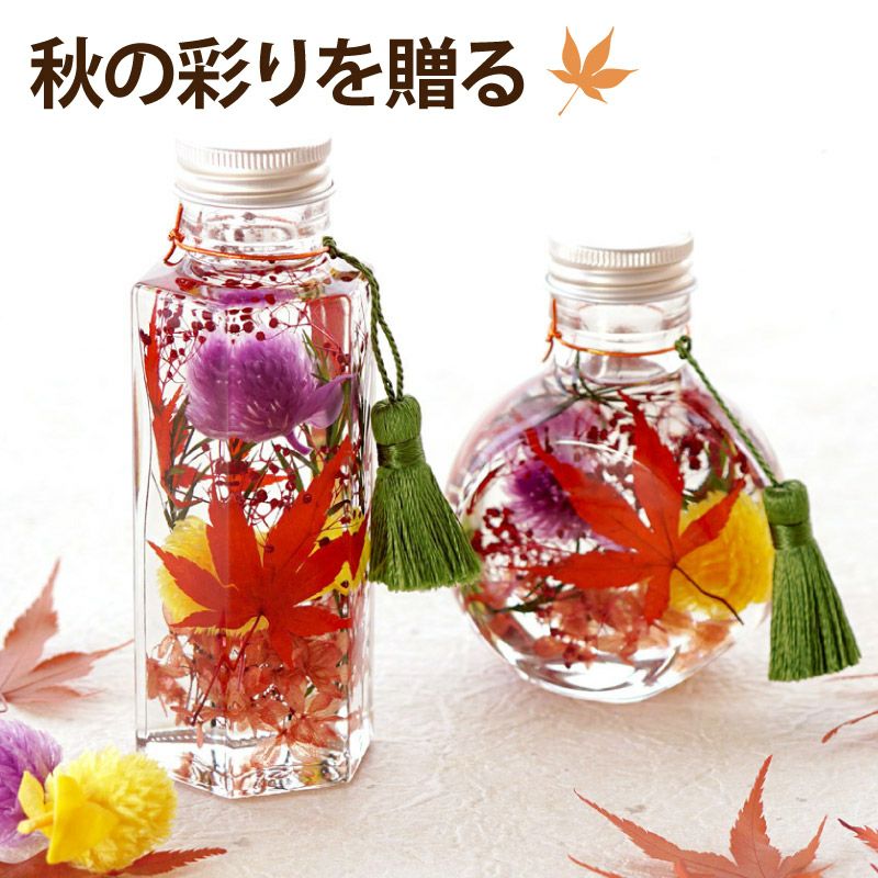 紅葉 もみじ ハーバリウム・Sサイズ』｜横浜花まりか フラワーギフト店