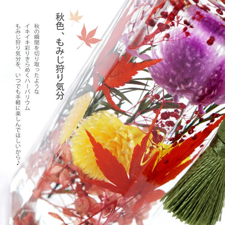 紅葉 もみじ ハーバリウム・Sサイズ』｜横浜花まりか フラワーギフト店