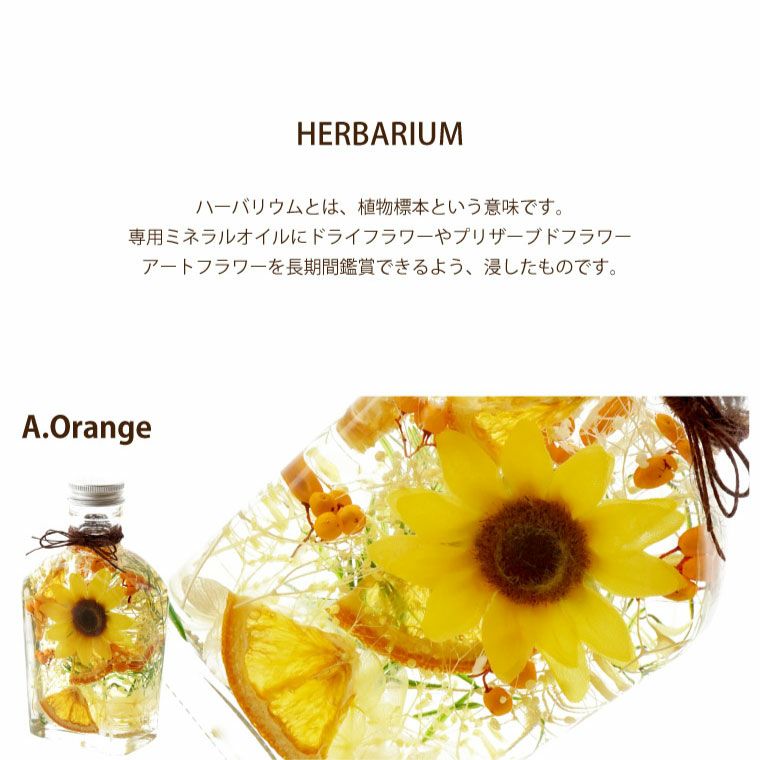 ひまわり ハーバリウム』｜横浜花まりか フラワーギフト店