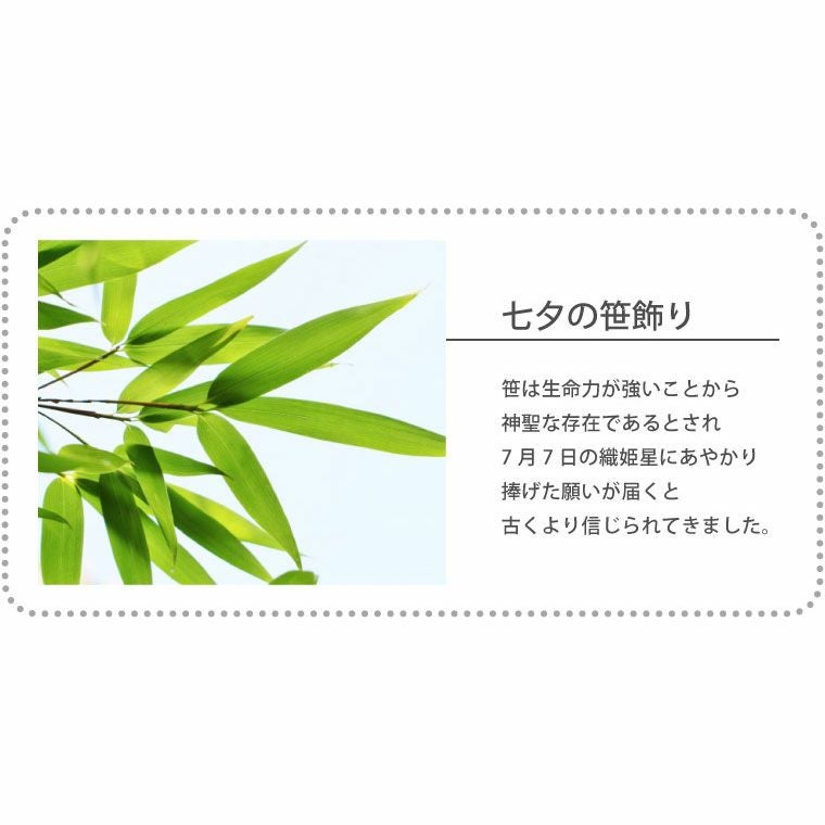 風鈴 短冊 飾り付き 七夕の笹飾り 鉢植え