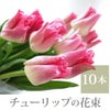 チューリップの花束 ・10本 生花