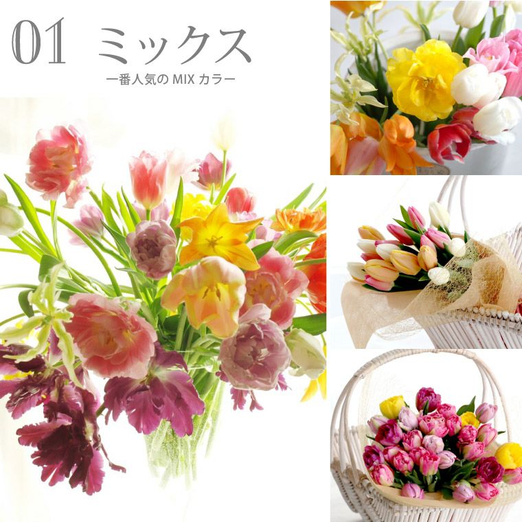 チューリップの花束 ・10本』 生花 | 横浜花まりか フラワーギフト店