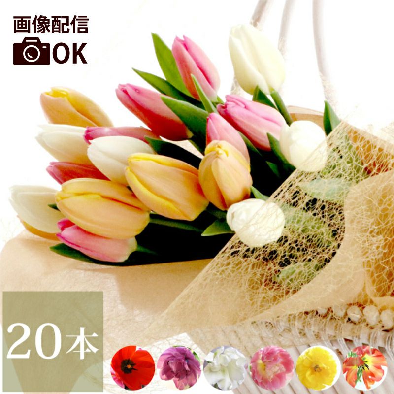 チューリップの花束 ・20本』 生花 | 横浜花まりか フラワーギフト店