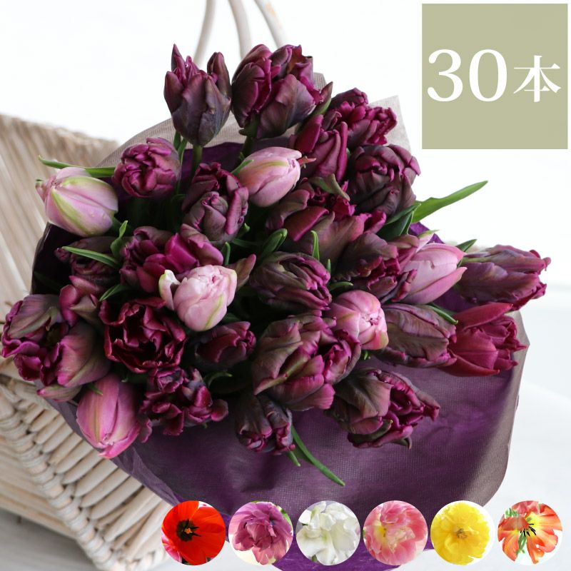 チューリップの花束 ・30本』 生花 | 横浜花まりか フラワーギフト店