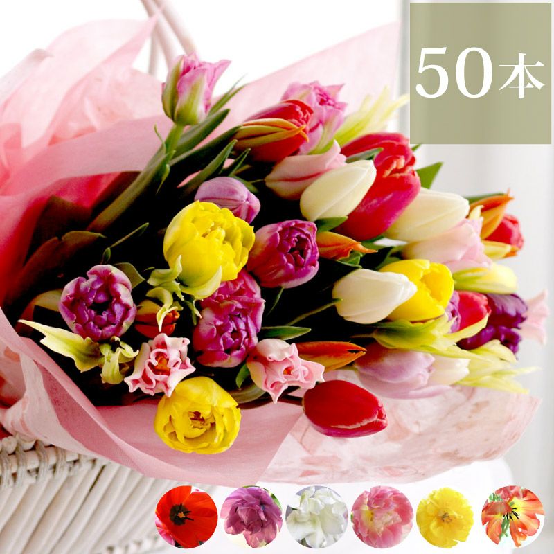 チューリップの花束 ・50本』 生花 | 横浜花まりか フラワーギフト店