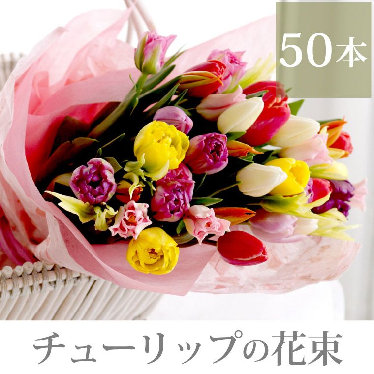 チューリップの花束 ・50本』 生花 | 横浜花まりか フラワーギフト店
