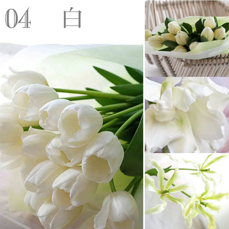 【チューリップの花束】特別限定版 新潟県産チューリップ花束（ピンク）: ハロー！！JA全農にいがた
