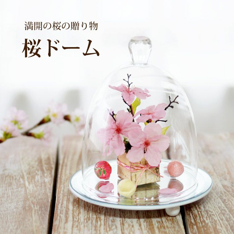 桜 ドーム』 プリザーブドフラワー｜横浜花まりか フラワーギフト店