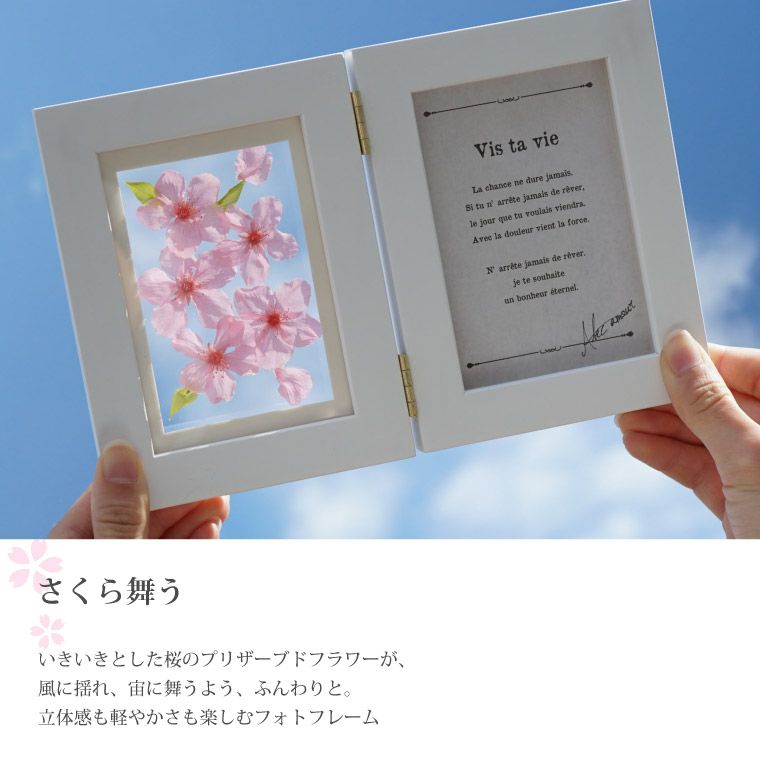 桜フローティングフレーム』 プリザーブドフラワー｜横浜花まりか