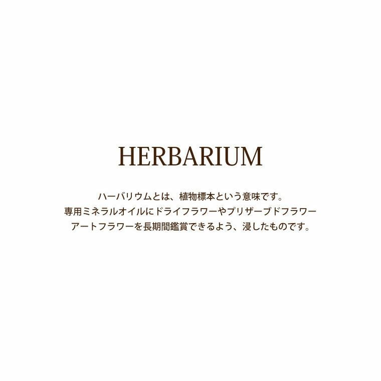 桜 ハーバリウム ボールペン＆カードケースセット 替え芯付き