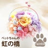 ペットちゃんの虹の橋 Twinkle トゥインクル お供え プリザーブドフラワー