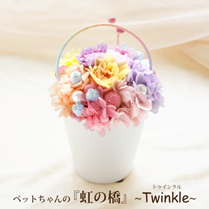 ペットちゃんの虹の橋 Twinkle トゥインクル』 お供え プリザーブド