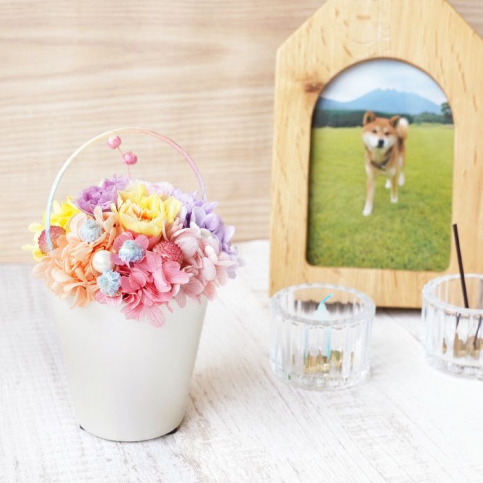 ペットちゃんの虹の橋 Twinkle トゥインクル お供え プリザーブドフラワー