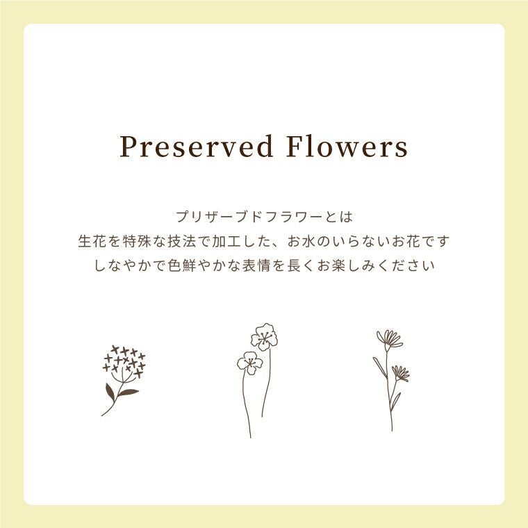 ペットちゃんの虹の橋 トゥインクル・ローズ お供え プリザーブドフラワー