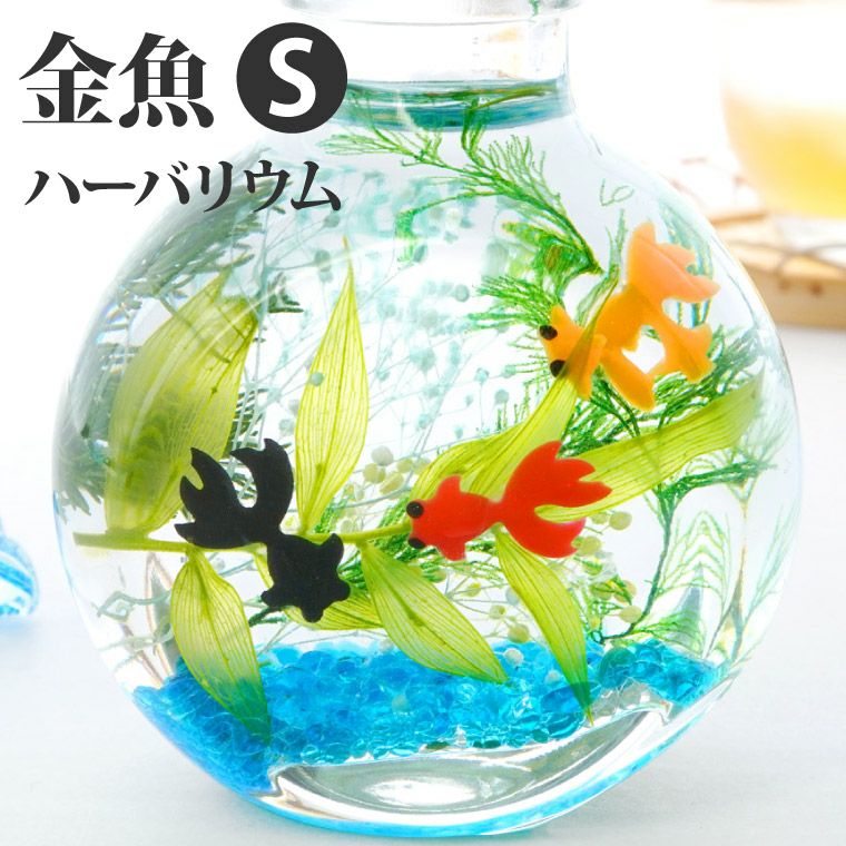 金魚ハーバリウム・Sサイズ』｜横浜花まりか フラワーギフト店
