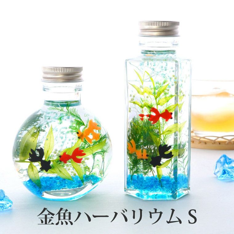 金魚ハーバリウム・Sサイズ』｜横浜花まりか フラワーギフト店