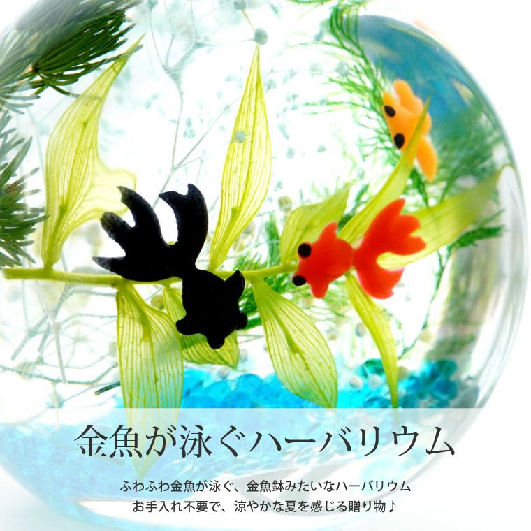 金魚ハーバリウム・Sサイズ』｜横浜花まりか フラワーギフト店